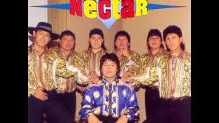 GRUPO NECTAR  -  LA MAGIA DE NECTAR