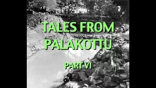 Talks on Sri Ramana Maharshi: Narrated by David Godman - Tales From Palakottu (Part VI)