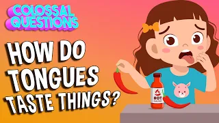 How Do Tongues Taste Things? | COLOSSAL QUESTIONS