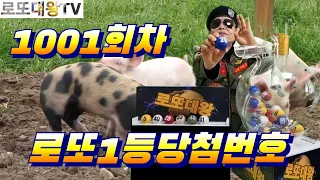 [로또대왕] 로또1001회차ㆍ로또1등당첨번호(6.10.12.14.20.42)이대령황금손ㆍ로또꿈ㆍ로또명당