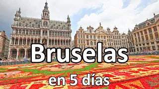 📌 BRUSELAS en 5 días 🟢 GUÍA DE VIAJE (4K) | Bélgica