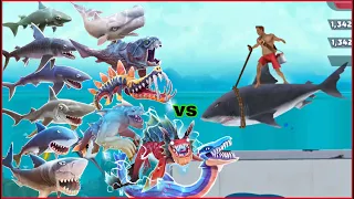 Hungry Shark Evolution - King Of Summer Vs All Sharks 🦈