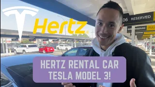 Hertz Tesla Model 3 Rental Car Experience! NY ROAD TRIP | SUPERCHARGER | AUTO STEER | VLOG