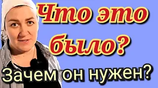 Деревенский дневник очень многодетной мамы - Что это было? зачем нужен безработный муж?