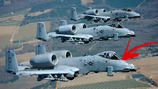 Por que a Rússia teme o A-10C Thunderbolt II, apelidado de Warthog