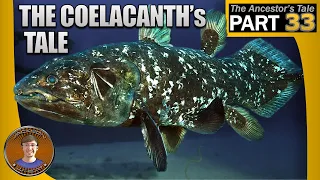 The Coelacanth's Tale