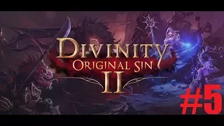 Divinity: Original Sin 2 - coop в 4! Приключения начинаются! -Стрим дос2- #5