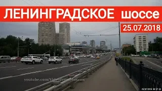 Ленинградское шоссе, прогулка //  25 июля 2018
