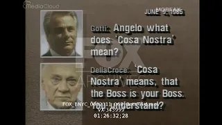 John Gotti - News Reports