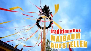 Traditionelles Maibaum Aufstellen | EVENT VIDEO
