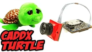 ☀ Как Split , только дешевле? Новая FPV камера от Caddx с функционалом писалки [CADDX Turtle HD Cam]