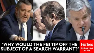BREAKING NEWS: Ted Cruz Furiously Grills FBI's Wray About Hunter Biden Probe
