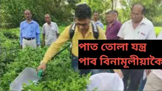 বিনামূলীয়া চাহপাত তোলা যন্ত্ৰ, হীৰেণ চেতিয়া plucking machine