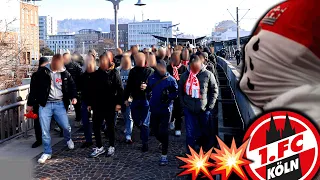 Kölner Ultras äußern sich erstmals nach Abstieg zu Wort...