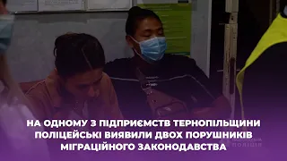 На одному з підприємств Тернопільщини поліцейські виявили двох порушників міграційного законодавства