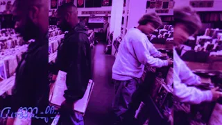 Dj Shadow - Midnight In A Perfect World (S&C)