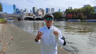 Capital City Trail Melbourne 30km Run