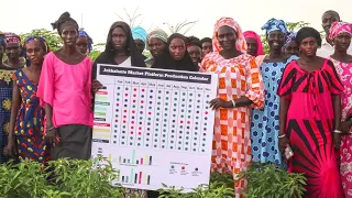 Market Led Horticultural Production in the Gambia