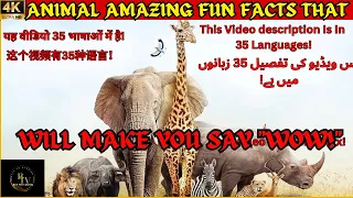 Animal Amazing Fun Facts That Will Make You Say "Wow!"