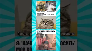 Мемасики про котиков часть 58 #meme #funny #shorts