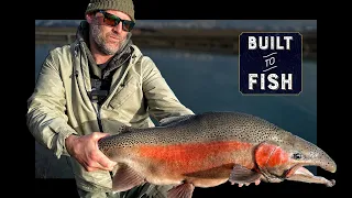 Fishing for HUGE  Rainbow Trout in New Zealand!