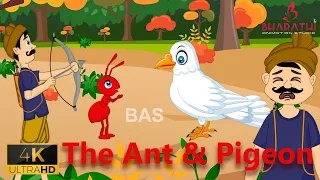 The Ant And Pigeon Story in English | Story for Kids | Bharathi Animation Studios English
