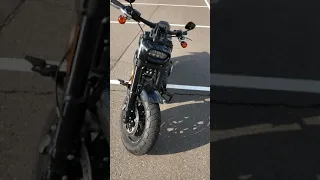 Harley-Davidson Fat Bob 2018 первый сезон. Отзыв
