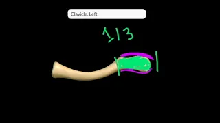 clavicle 3D Anatomy | General Features | Osteology | Attachments | Side determination | 3D clavicle