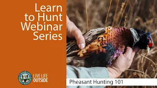 Pheasant Hunting 101 - Learn to Hunt Webinar Series