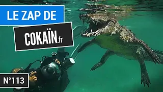 Le Zap de Cokaïn.fr n°113