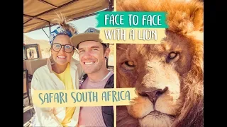 INCREDIBLE AFRICAN SAFARI! 🦁CAPE TOWN SOUTH AFRICA