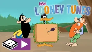New Looney Tunes | World Famous Architect Daffy Duck | Boomerang UK 🇬🇧