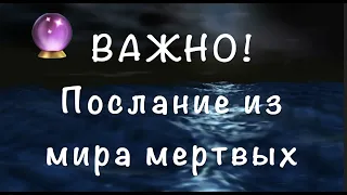 СРОЧНО✅ ПОСЛАНИЕ из мира мертвых/Таро Онлайн Расклад/ @diamondway