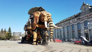 Safari in Nantes: Wenn ein mechanischer Elefant durch die Stadt stampft