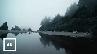 Foggy Evening Walk at Ruby Beach, Washington (Binaural Ocean Sounds)