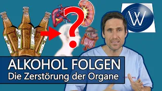 Alkohol und seine Folgen: Bereits zu spät? Diese Schäden entstehen an Herz, Leber, Hoden & Gehirn!