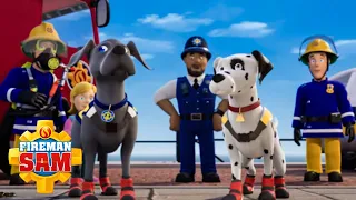 NEW Dog on the Block! 🐶 | SEASON 13 | NEW EPISODES | Fireman Sam Official | cartoons