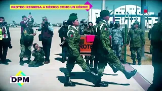Perrito 'Proteo' regresa a México como héroe | De Primera Mano