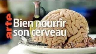 🔴Arte Science 🔴 COMMENT l'alimentation influence Notre Cerveau   Documentaire Français REPORTAGE