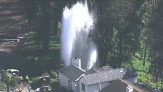 Video shows large geyser from water main break in San Francisco's in Stern Grove area