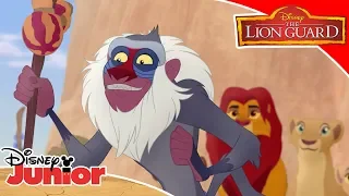 🥁 Roarsome Songs  | The Lion Guard | Disney Channel Africa