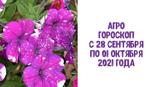 Агрогороскоп з 28 вересня по 01 жовтень 2021 року. Домашні успішні справи по Місяцю