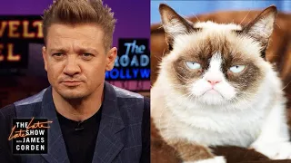 Jeremy Renner Is Grumpy Cat