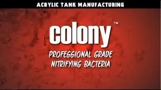 All About ATM Colony Nitrifying Bacteria