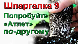 Мой способ применения "Атлета" для мощных корней рассады.  ШПАРГАЛКА №9