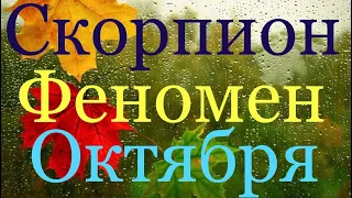 Скорпион ♏️ Октябрь 2020 г/Самый Подробный Таро-прогноз