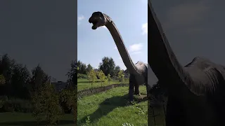 Динозавр в Минске!!