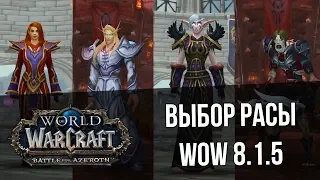 Выбор Расы в World Of Warcraft | Лучшая раса для PvP | Разбор Полётов