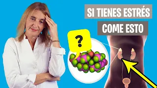 La MEJOR DIETA para el EXCESO de CORTISOL | La dieta para síndrome de Cushing | Nutrición clínica