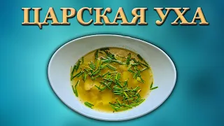 ЦАРСКАЯ УХА ИЗ ЩУЧЬИХ ГОЛОВ. Один из самых вкусных вариантов приготовления. Hechtsuppe.